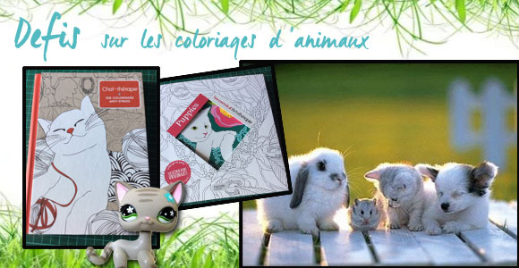 Les défis : coloriage d’animaux